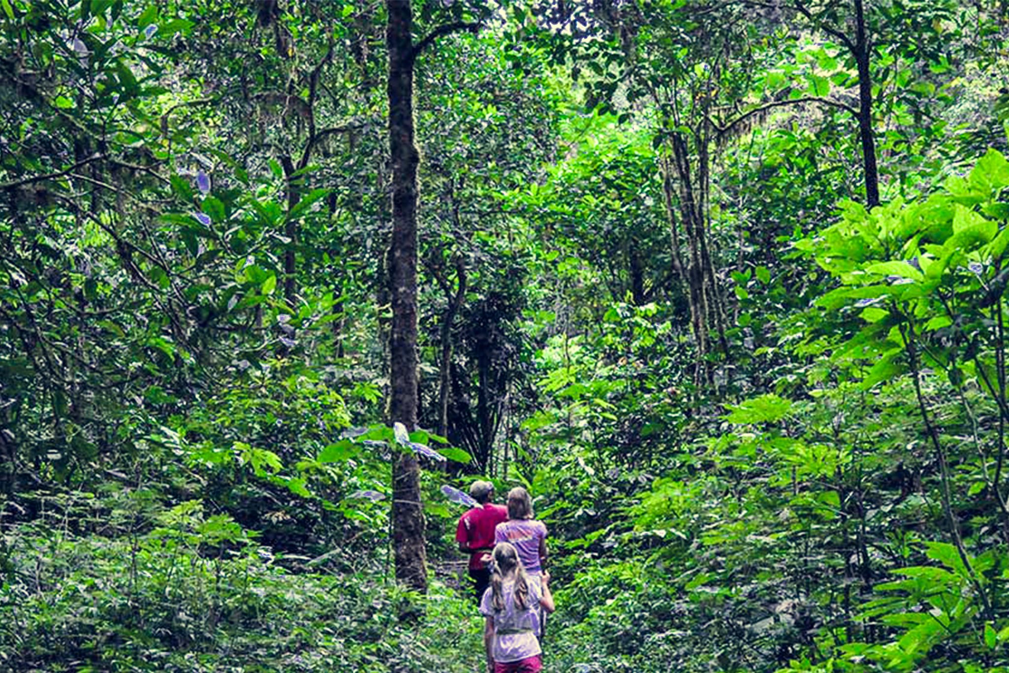  Jungle  Trekking Bali  Tour NUSA PENIDA TOUR NUSA PENIDA 