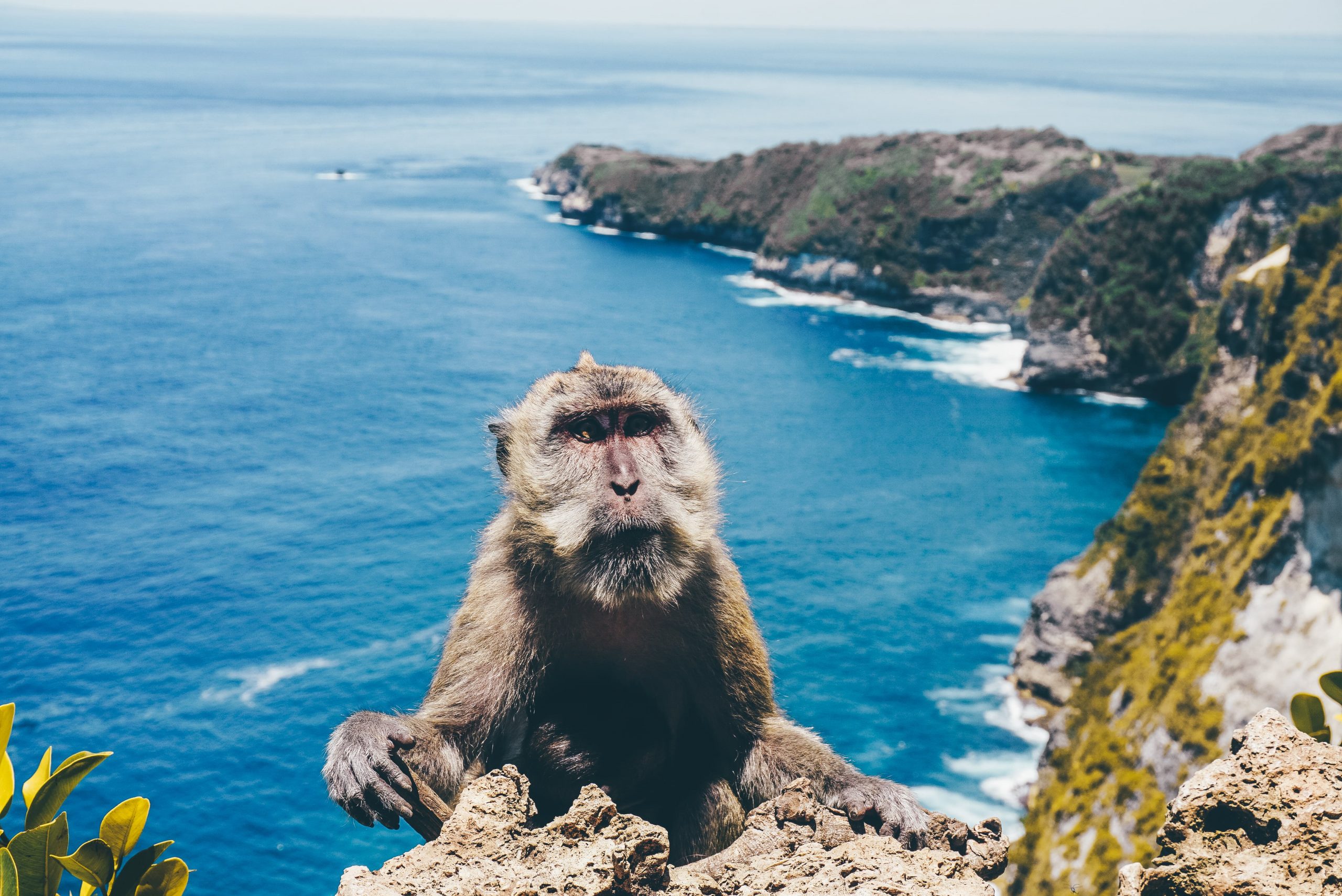 Why Choose A Nusa Penida Island Tour And What You Can See There