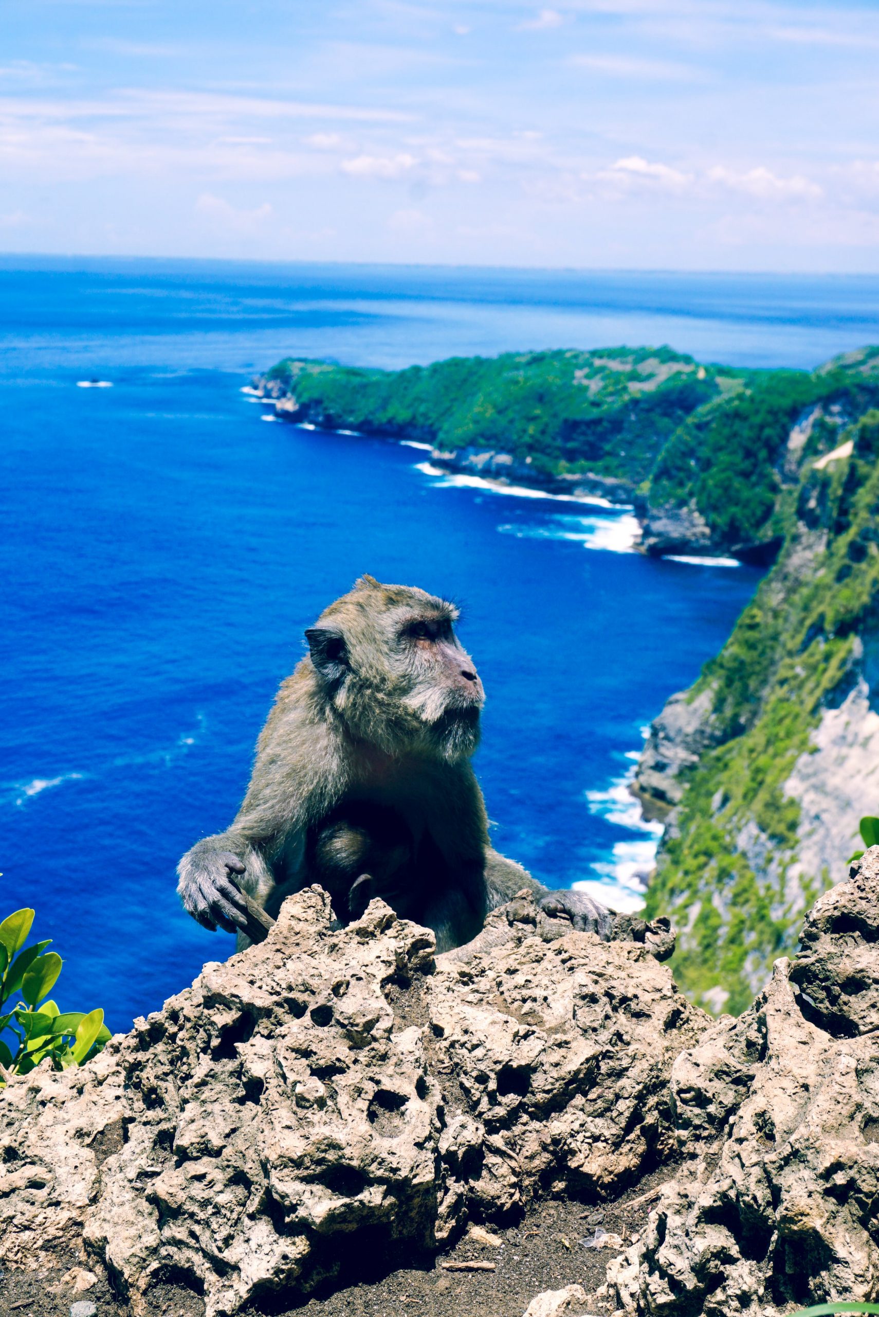 Nusa Penida To Bali : Tips To Enjoy Vacation At Nusa Penida