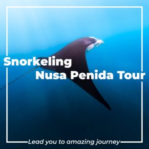Snorkeling Day With Nusa Penida Tour